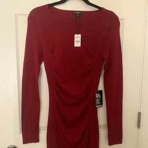 Express Burgundy Dress